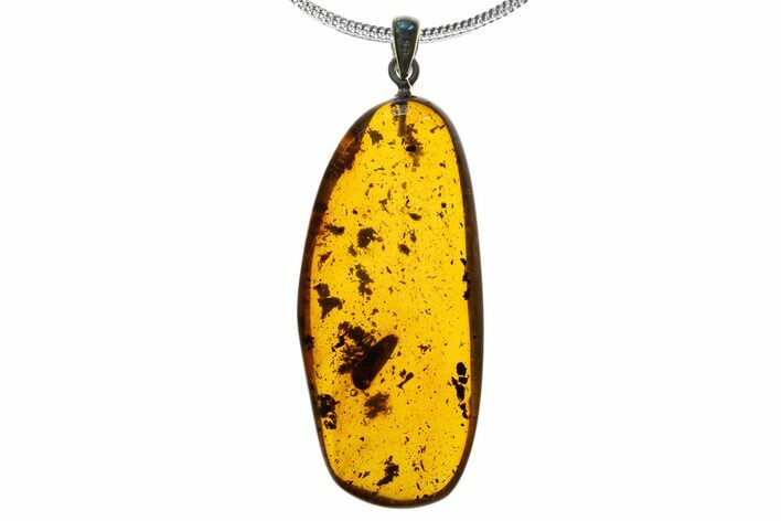 Polished Baltic Amber Pendant (Necklace) - Beetle & Debris! #339473
